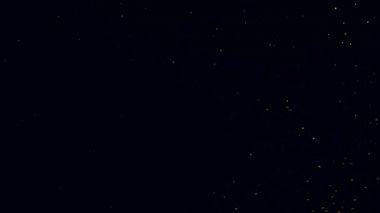 A whimsical dance of snowflakes.