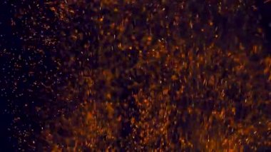 A whimsical dance of snowflakes.