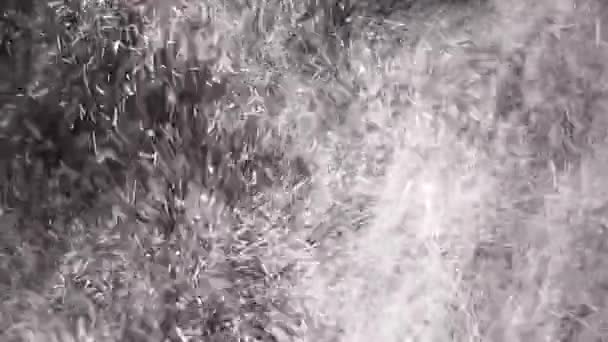 白面的爆裂白灰的云彩 一阵冷冰冰的暴风雪 — 图库视频影像