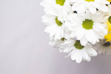 Arkaplanda bir yazı alanı ve köşede parlak bir buket gerbera var. Bir buket gerbera, neşeli bir bahar havası yaratıyor..