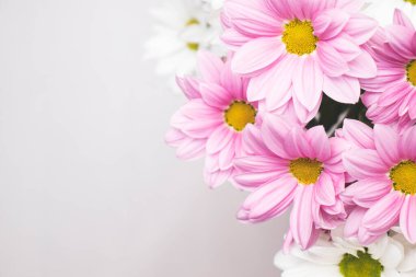 Arkaplanda bir yazı alanı ve köşede parlak bir buket gerbera var. Bir buket gerbera, neşeli bir bahar havası yaratıyor..