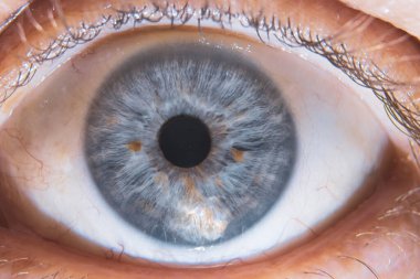 İnsan gözü çok yakındır. Bir insanın duyusal organı..