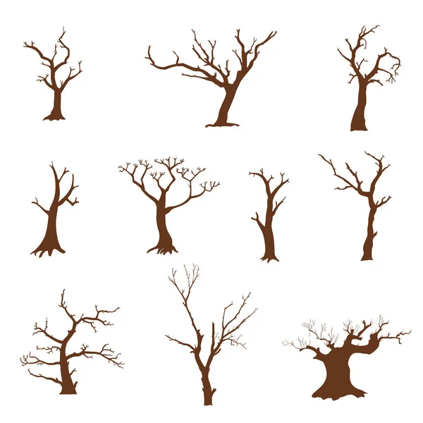 Conjunto vetorial de silhuetas de árvores — Vetor de Stock