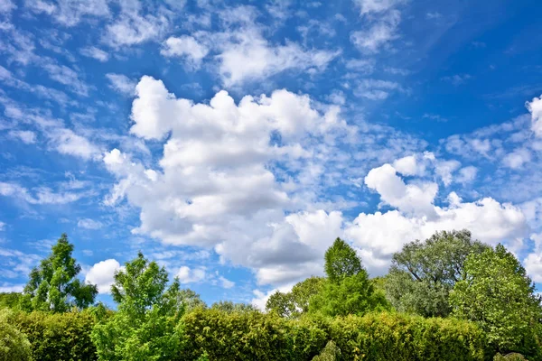 Bulutların üstünde mavi bir gökyüzü ile manzara. — Stok fotoğraf