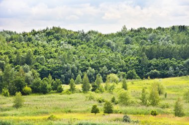 Bulutlar ağaçlar ve çayır ile manzara.