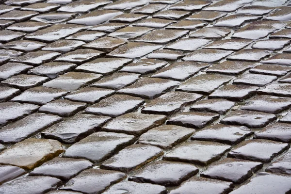 Wet paved surface of the street in the rain. — Stock Photo, Image