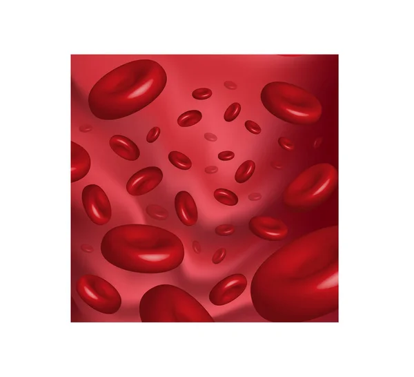 Células Sanguíneas Nutrição Proteção Corporal Tipo Sangue Glóbulos Vermelhos Dador — Fotografia de Stock
