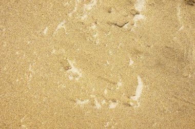 kum dokulu arka plan