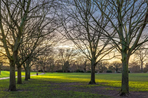 Birleşik Krallık 'ta parkta soğuk bir kış gününde günbatımı 