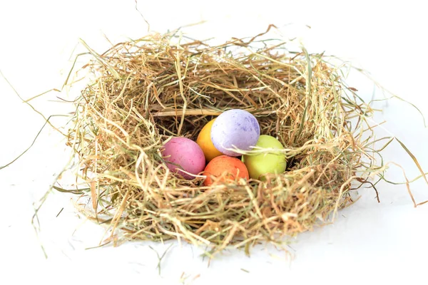 Yuvadaki renkli Paskalya yumurtaları