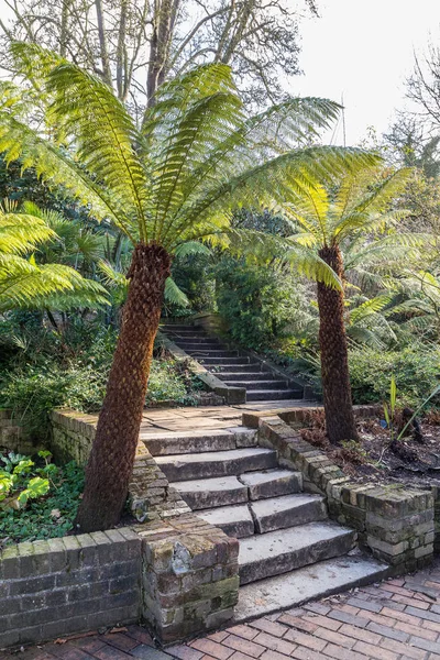 Ağaçlar merdivenlerde