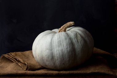 Hafif balkabağı hayatı, siyah arka plan görüntüsünde, sert kahverengi bir poşetin üzerinde uzanır..