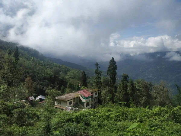 Natural view from a tour.