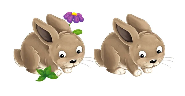 Dibujos animados conejos felices — Foto de Stock