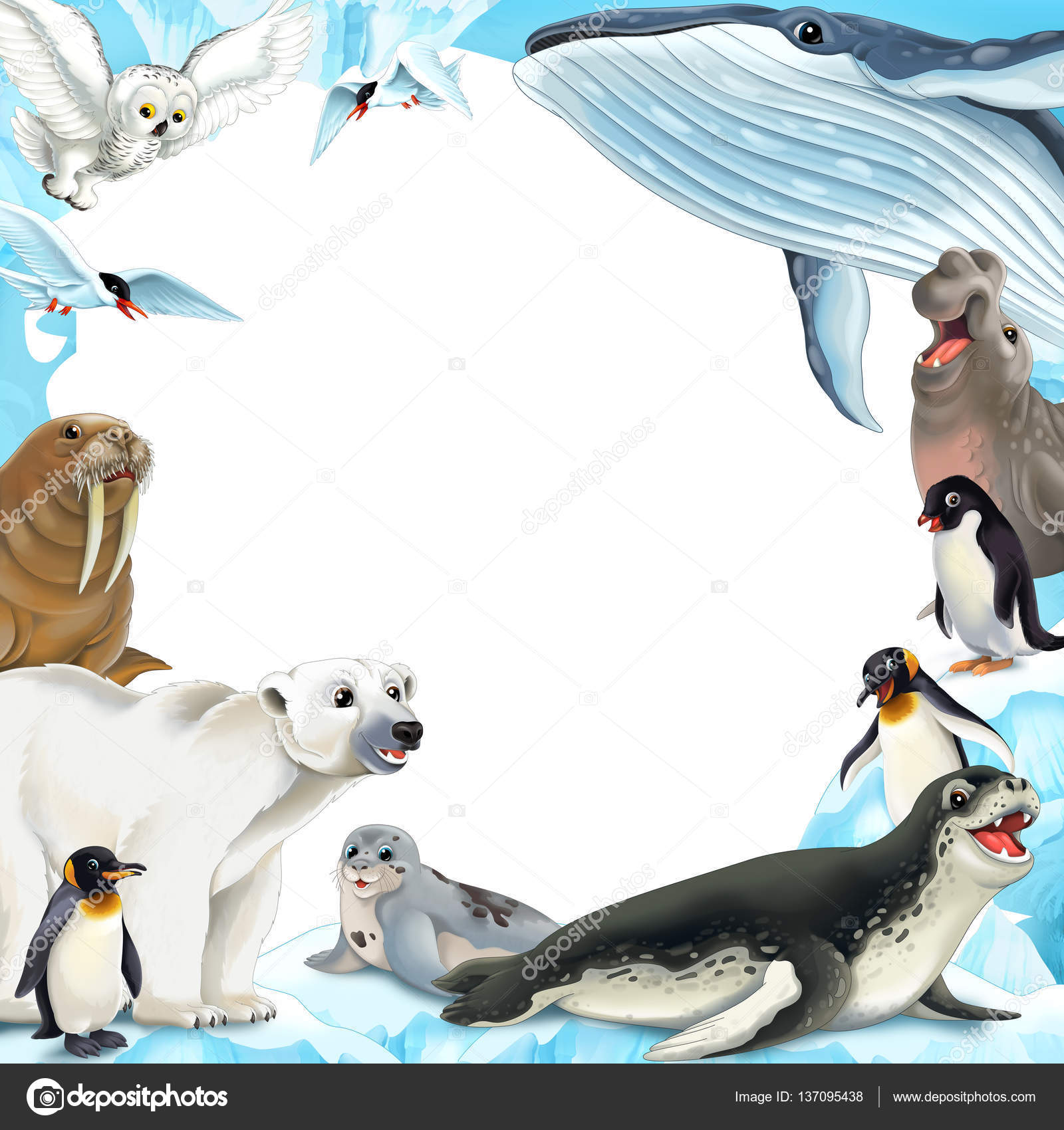 Животные Арктики Фото С Названиями