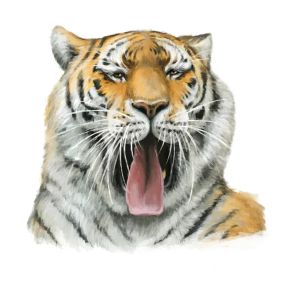Karikatura tygr - hlava - ilustrace pro děti — Stock fotografie
