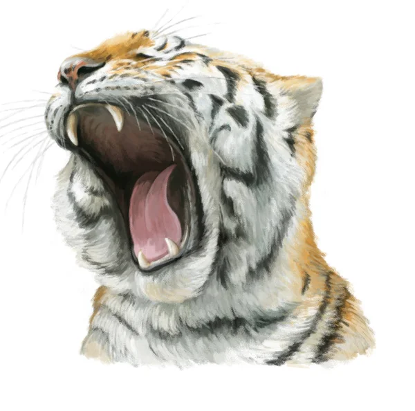 Kreskówka Tygrys - głowy - ilustracja dla dzieci — Zdjęcie stockowe