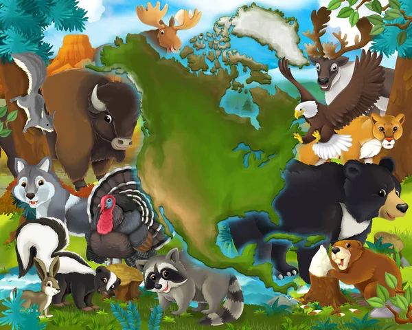 Animales de dibujos animados América del Norte — Foto de Stock