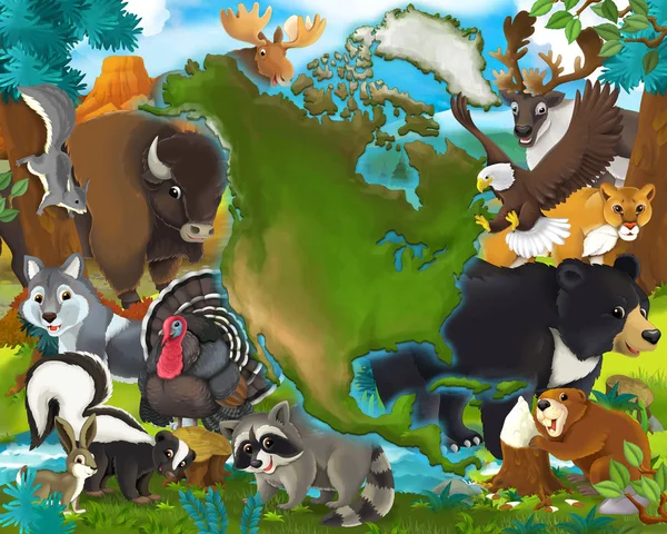 Cartoon animals north america