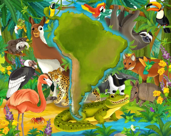 Cartoon animals south america Stock Image