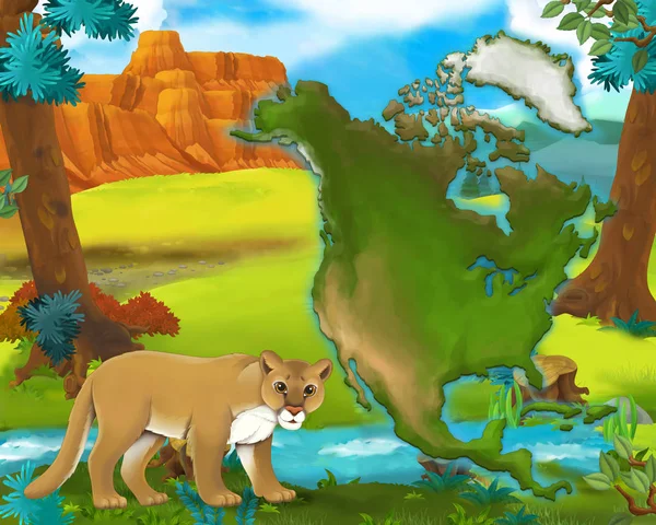 Cartoon cougar con mappa del continente - illustrazione per bambini — Foto Stock