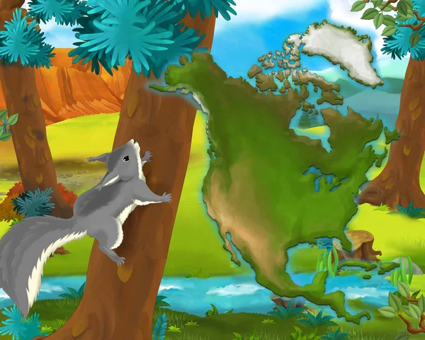만화 장면-아이 들을 위한 야생 미국 동물-다람쥐-그림 — 스톡 사진