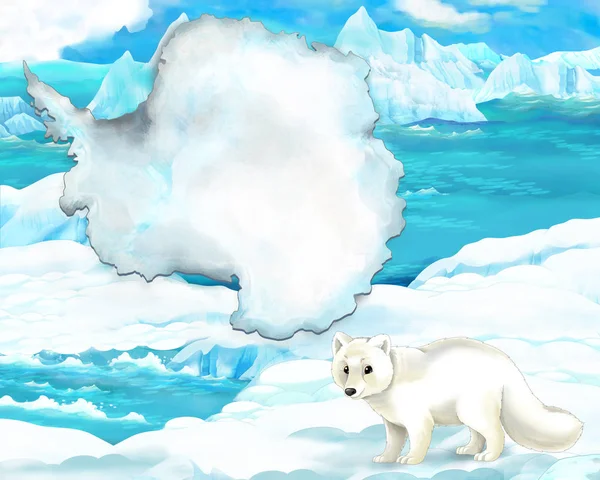 Cena dos desenhos animados - animal ártico — Fotografia de Stock