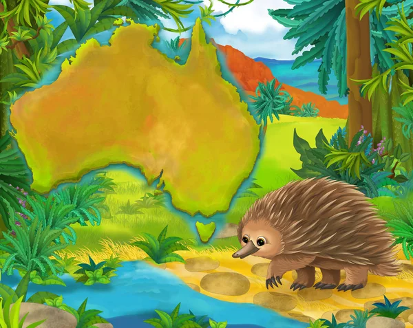 Cartoon porcupine with continent map — Stock Photo, Image