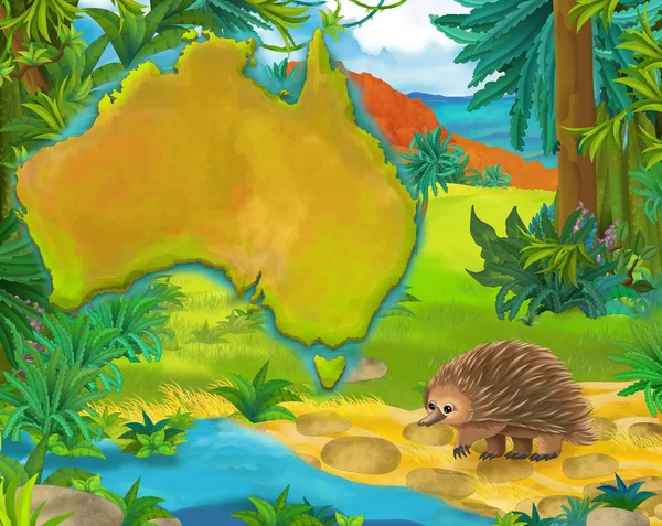 Çizgi film kirpi kıta harita ile