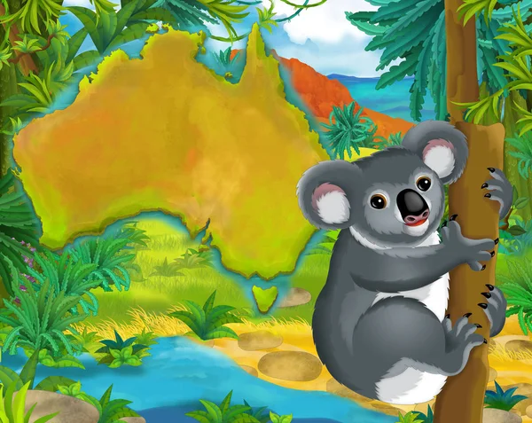 Oso Koala de dibujos animados — Foto de Stock