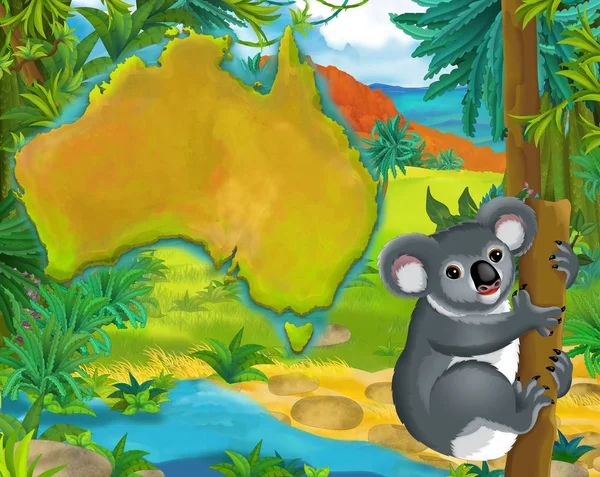 Карикатурный медведь коала — стоковое фото