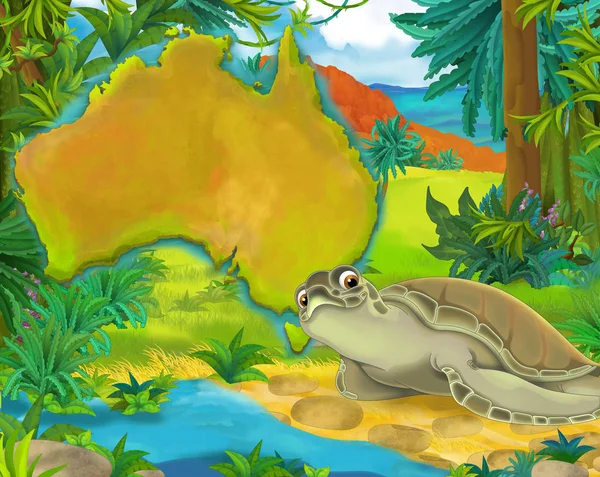 Çizgi film kaplumbağa ile kıta harita