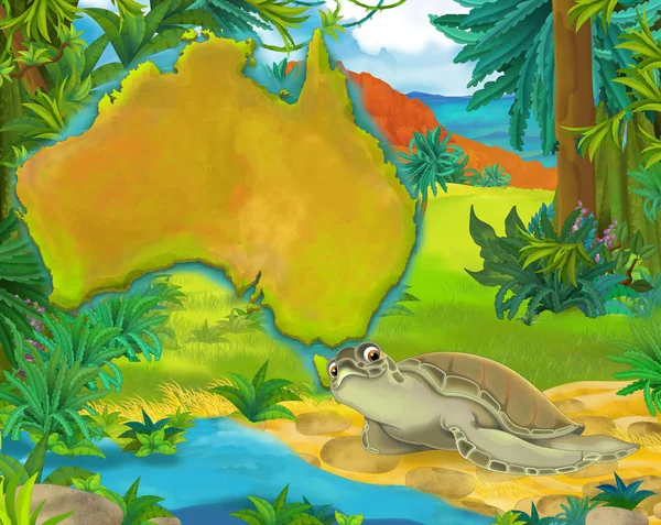 Çizgi film kaplumbağa ile kıta harita