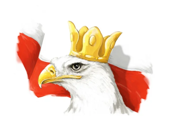 Aquila dei cartoni animati e bandiera polacca - testa in corona - illustrazione per bambini — Foto Stock
