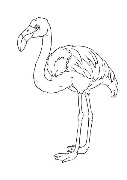 Happy smiling cartoon standing flamingo coloring page — Stock Vector