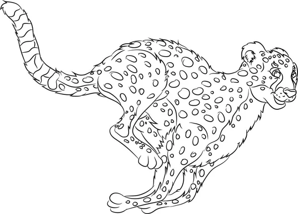 Running wild cat coloring page — Stock Vector