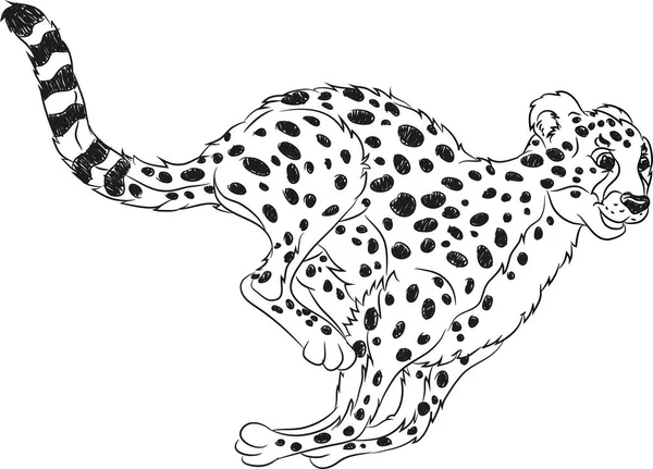 Running wild cat coloring page — Stock Photo, Image