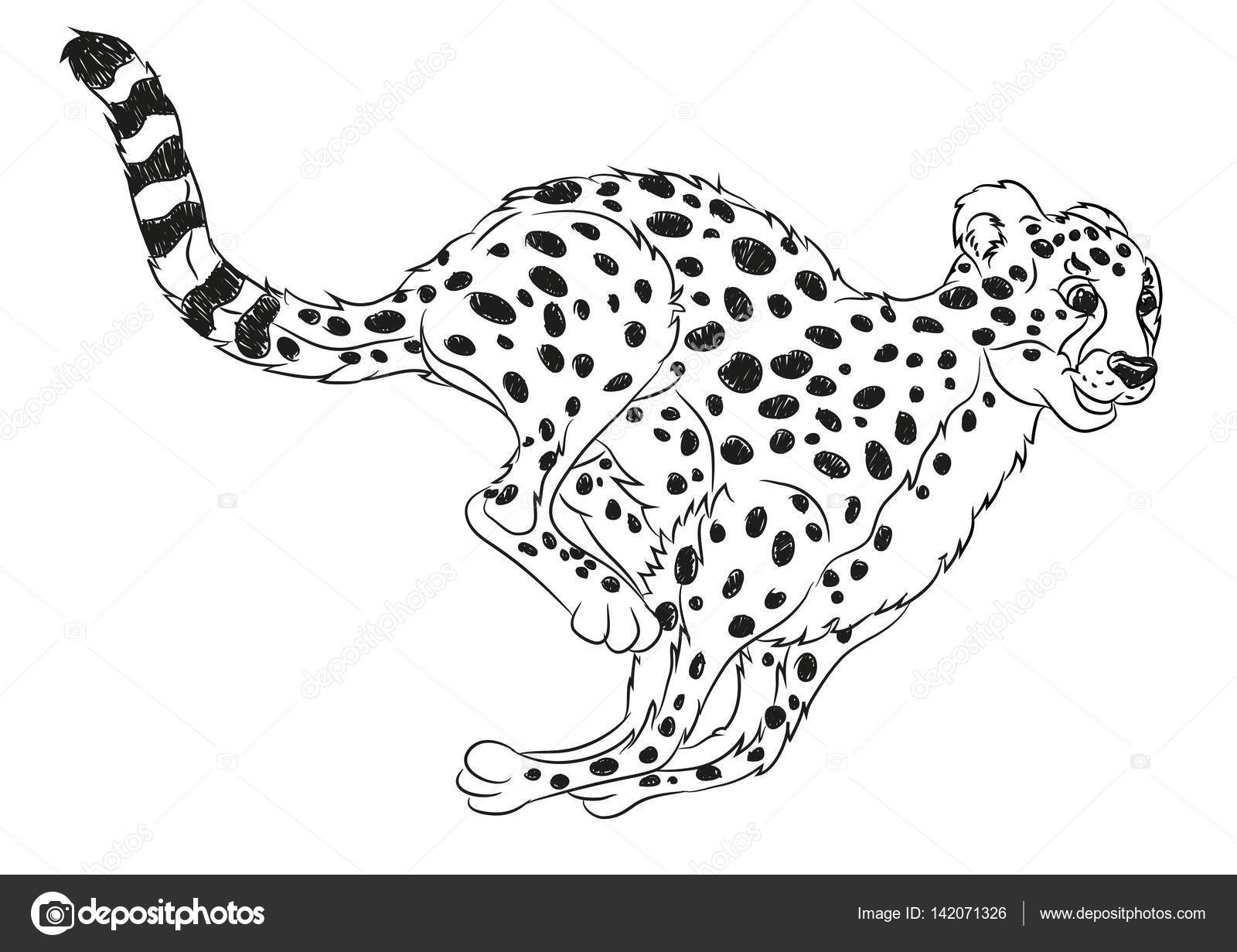 Wild cat coloring page | Running wild cat coloring page — Stock Vector