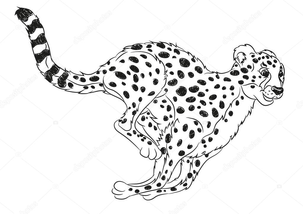 Wild cat coloring page | Running wild cat coloring page — Stock Vector