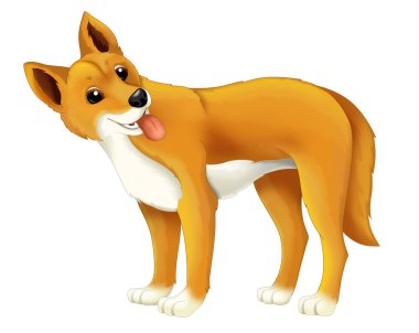 çocuklar için Karikatür hayvan dingo köpek illüstrasyon