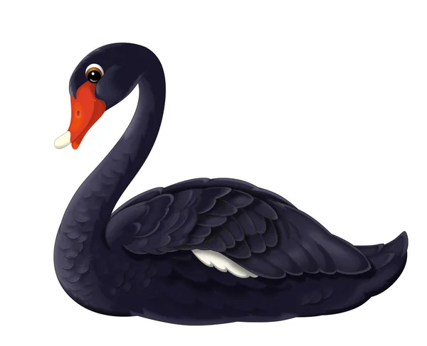 Cartoon happy black swan animal — Stock Photo, Image