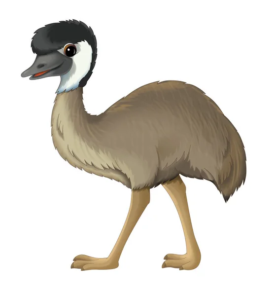 Dessin animé animal emu marche — Photo