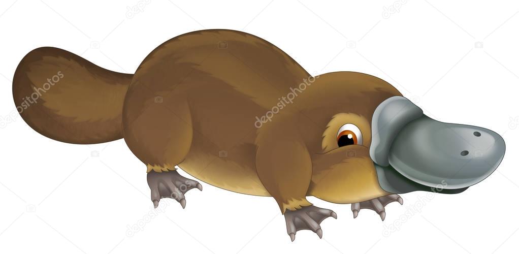 cartoon animal happy platypus