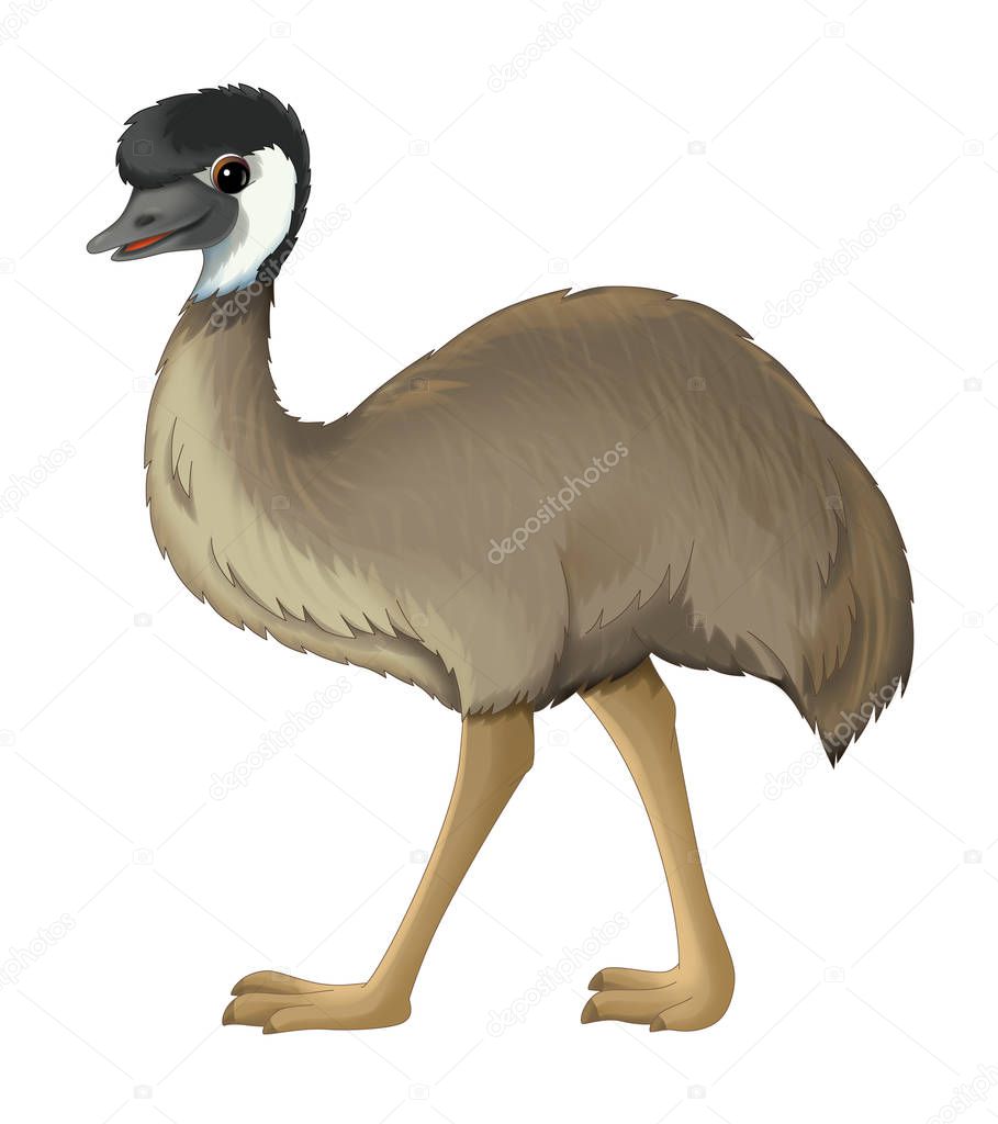 cartoon animal emu walking