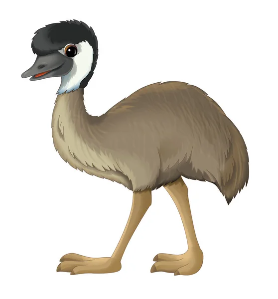 Dessin animé animal emu marche — Photo