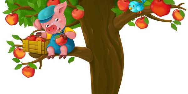Cartoon scene with little pig — Stock Photo, Image