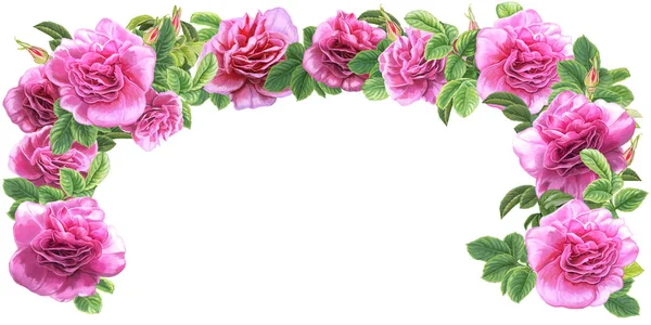 Pink roses frame — Stock Photo, Image