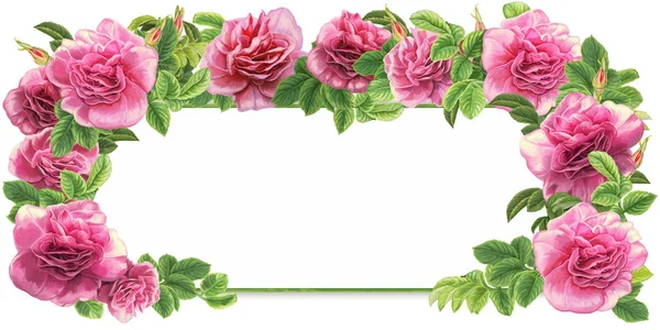 Pink roses frame — Stock Photo, Image