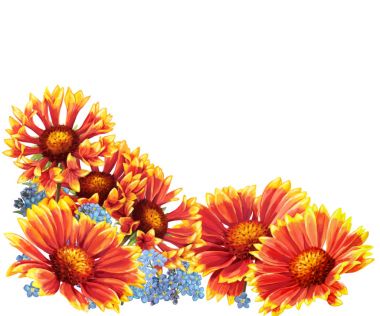 portakal çiçekleri kenarlık