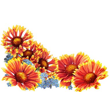 portakal çiçekleri kenarlık